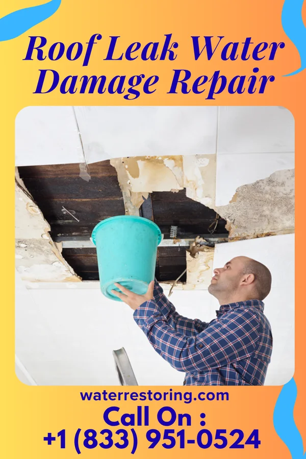 Roof Leak Water Damage Repair in West Sharyland, TX