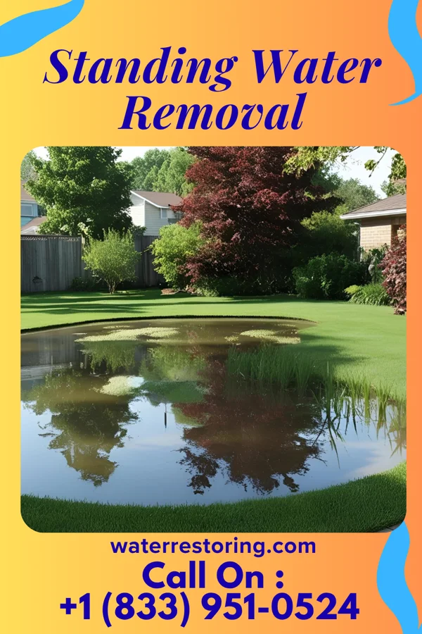 Standing Water Removal in West Sharyland, TX